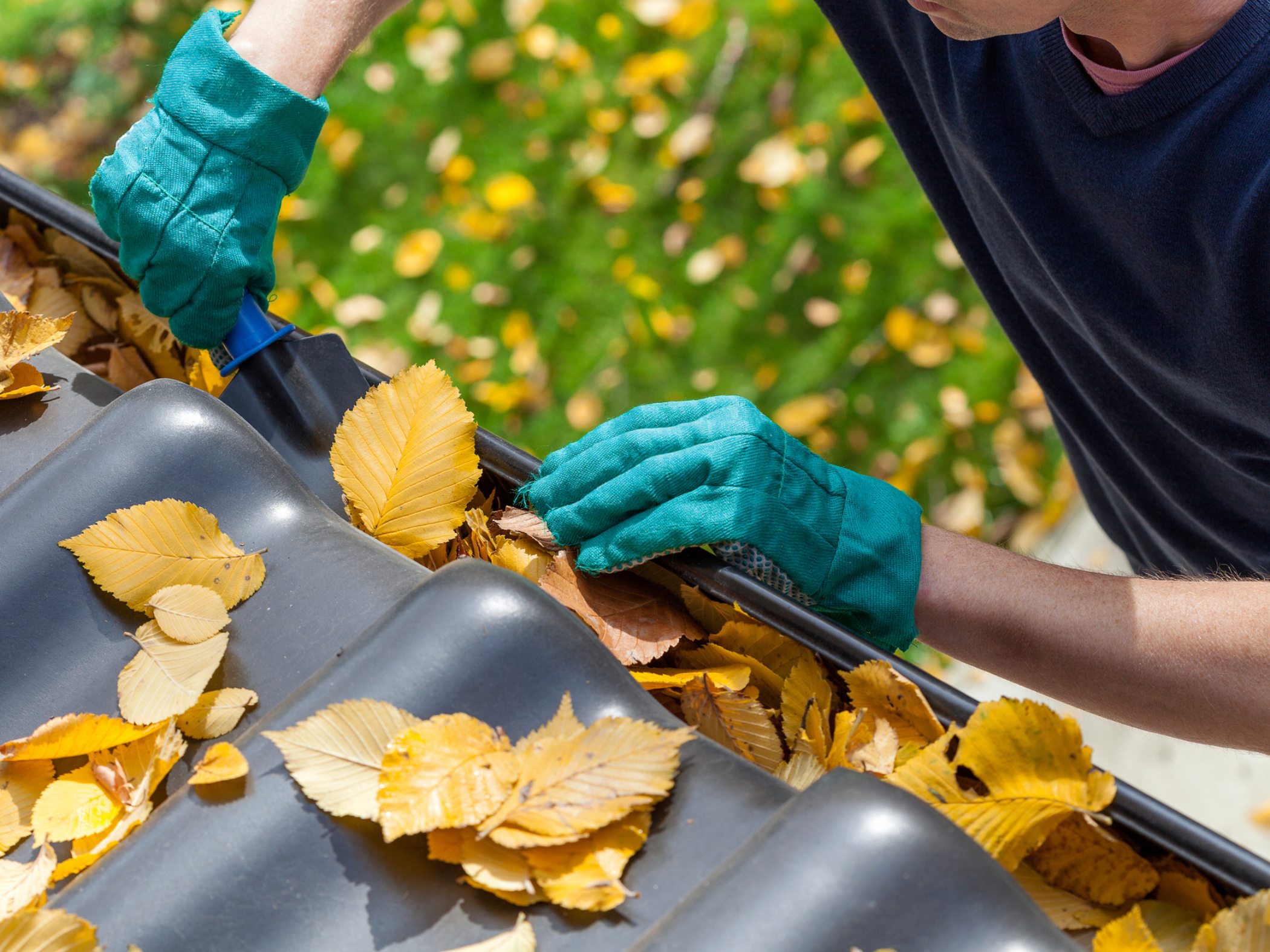 Home Maintenance Tips for Fall