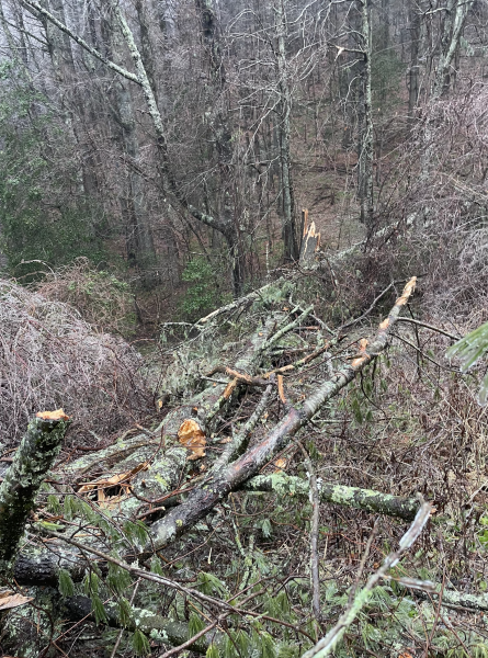 Damage from Tuesday's Storm